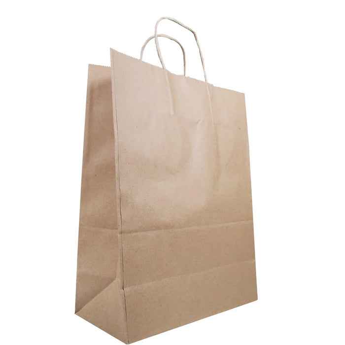 Eco-Craze - 10x5x13 Kraft Paper Bag - Twisted Handle