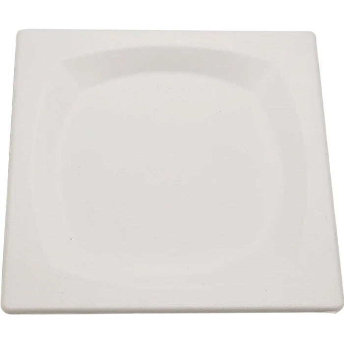 Eco-Craze - 8" Square Plate - Biodegradable - Eagle Global Solution