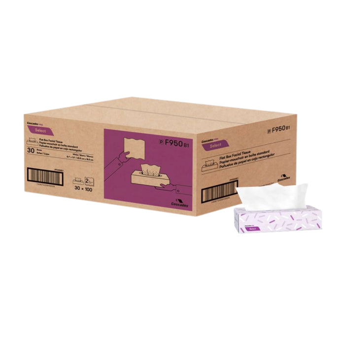 Facial Tissue - 100 sheets, 2Ply - F950 - Eagle Global Solution