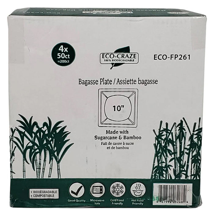 Eco-Craze - 10" Square Plate - Biodegradable - Eagle Global Solution