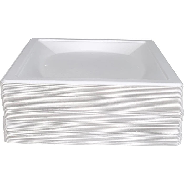 Eco-Craze - 10" Square Plate - Biodegradable - Eagle Global Solution