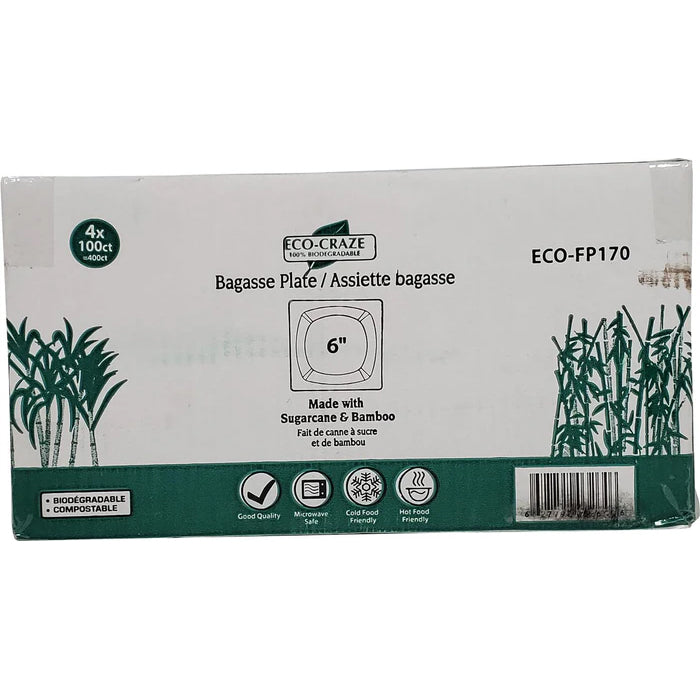 Eco-Craze - 6" Square Plate - Biodegradable - Eagle Global Solution