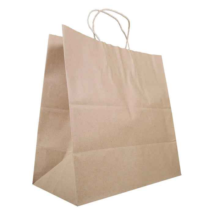 Eco-Craze -13x7x13 Kraft Paper Bag - Twisted Handle