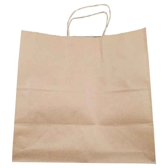 Eco-Craze -13x7x13 Kraft Paper Bag - Twisted Handle