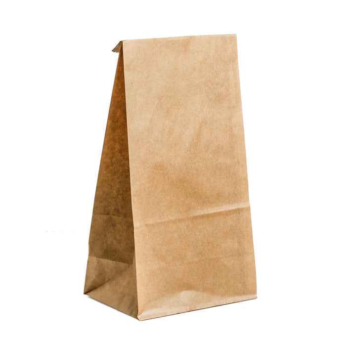 Paper Bags - Brown - #20